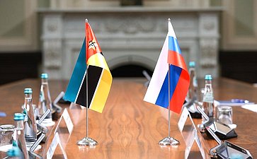 Встреча Руководителя Аппарата Совета Федерации Геннадия Голова с Генеральным секретарем Ассамблеи Республики Мозамбик