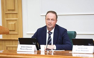 Расширенное заседание Комитета Совета Федерации по науке, образованию и культуре по вопросам обеспечения общеобразовательных организаций учебниками