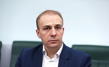 Круглый стол Комитета Совета Федерации по экономической политике «Развитие особых экономических зон технико-внедренческого типа как драйвер инноваций»