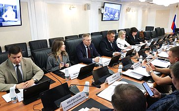 Круглый стол Комитета СФ по социальной политике на тему «Вопросы профессиональной самореализации молодых граждан России: современные вызовы и перспективы»