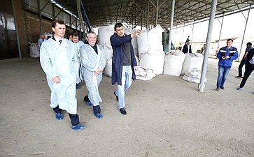 Владимир Бекетов посетил сельхозкооператив «Ферма настоящих продуктов», расположенный в станице Анастасиевской Славянского района