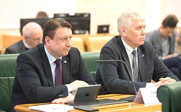 Заседание Совета по законодательному обеспечению оборонно-промышленного комплекса и военно-технического сотрудничества