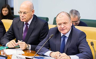В. Круглый и И. Чернышев Заседание Комитета Совета Федерации по социальной политике