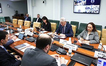 Круглый стол на тему «Новые направления экономического партнерства с Китайской Народной Республикой: формирование приграничных зон сотрудничества»