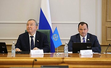 Сенаторы РФ приняли участие в заседаниях постоянных комиссий ПА ОДКБ
