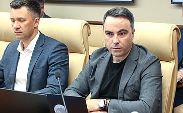 Заседание секции «Цифровые регионы: лучшие практики и стратегии развития» (фото пресс-служба Совета Федерации)