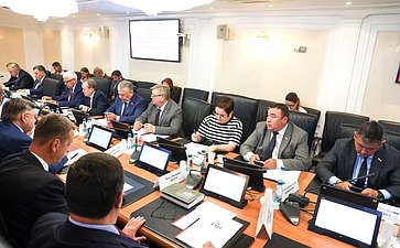 Заседание Комитета Совета Федерации по Регламенту и организации парламентской деятельности