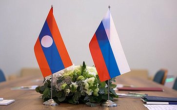 Встреча заместителя Председателя СФ Николая Журавлева с заместителем Председателя Национального собрания Лаосской Народно-Демократической Республики