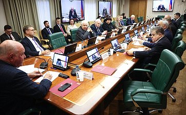 Заседание Комитета Совета Федерации по международным делам