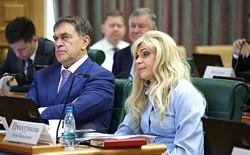 Заседание Комитета Совета Федерации по бюджету и финансовым рынкам