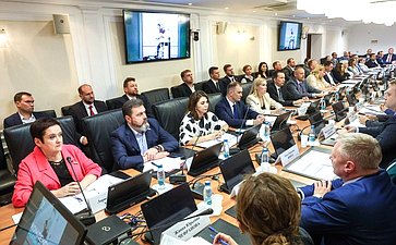 Совещание Комитета СФ по Регламенту и организации парламентской деятельности «Реабилитация участников СВО, медицинские технологии – IT и ИИ решения»