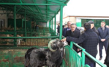 Выездные парламентские слушания на тему «Актуальные вопросы развития мясного и молочного скотоводства в Российской Федерации»