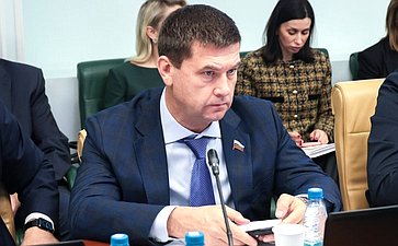 Расширенное заседание Комитета СФ по социальной политике (в рамках дней Тульской области в Совете Федерации)