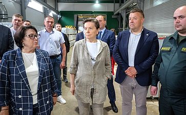 Сенаторы посетили деревоперерабатывающие предприятия в Кировской области
