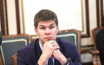 Заседание Комитета Совета Федерации по международным делам