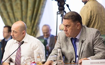 20-05 В. Шнякин Заседание Временной комиссии СФ по мониторингу ситуации на Украине 7