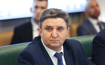 Расширенное заседание Комитета СФ по международным делам «О международных и внешнеэкономических связях Саратовской области» (в рамках Дней Саратовской области в Совете Федерации)
