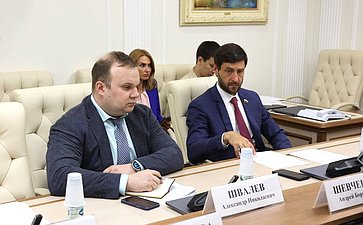 Круглый стол Комитета СФ по экономической политике на тему «Перспективы и проблемы роботизации производственных процессов»