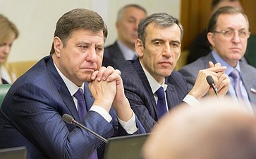 А. Голушко и Н. Власенко Заседание Комитета Совета Федерации по экономической политике
