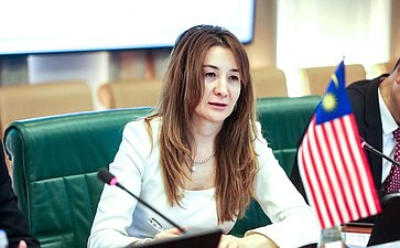 Григорий Карасин провел встречу с заместителем Председателя Сената Парламента Малайзии Нуром Джазланом Мохамедом