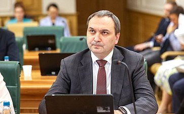 Заседание Комитета СФ по федеративному устройству, региональной политике, местному самоуправлению и делам Севера