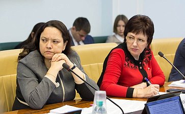А. Отке и Е. Бибикова Заседание Комитета СФ по социальной политике