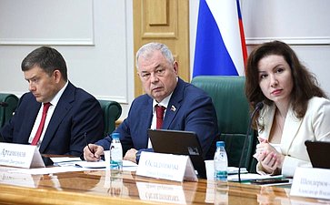 Заседание Комитета Совета Федерации по бюджету и финансовым рынкам