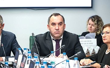 Расширенное заседание Комитета СФ по социальной политике (в рамках дней Тульской области в Совете Федерации)
