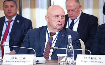 Встреча Председателя СФ Валентины Матвиенко и Председателя Совета Республики Национального собрания Республики Беларусь Натальи Кочановой с руководителями органов государственной власти субъектов Российской Федерации и регионов Республики Беларусь