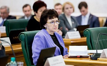 Совет по развитию социальных инноваций субъектов РФ Бибикова