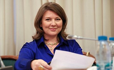 Сенаторы обсудили успешные практики и предложения по развитию НКО