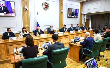Е. Перминова отметила социально значимую законодательную инициативу молодых парламентариев по поддержке детей-инвалидов