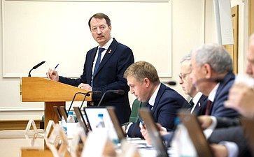 Расширенное заседание Комитета Совета Федерации по бюджету и финансовым рынкам
