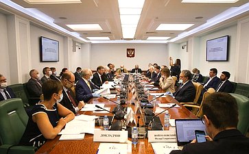 Совместное заседание Экспертного совета Комитета СФ по международным делам и Комитета СФ по экономической политике