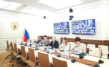 Рабочее заседание Совета Палаты молодых законодателей при Совете Федерации