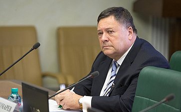 С. Калашников Заседание Комитета СФ по экономической политике