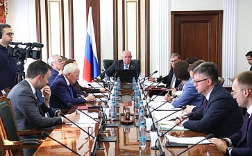 Заседание Комитета Совета Федерации по международным делам