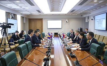 Константин Косачев встретился с Председателем Народной скупщины Республики Сербской (Босния и Герцеговина) Ненадом Стевандичем