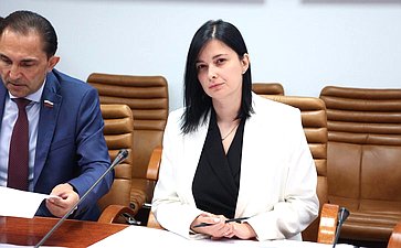 Совещание Комитета СФ по экономической политике «О разграничении полномочий по осуществлению морских перевозок»