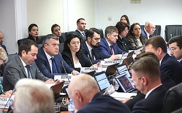 Расширенное заседание Комитета СФ по федеративному устройству, региональной политике, местному самоуправлению и делам Севера (в рамках Дней Мурманской области в СФ)