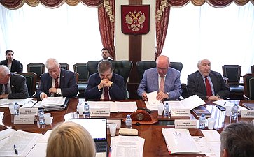 Совещание Комитета Совета Федерации по международным делам