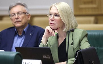 Заседание экспертно-консультативного совета при Комитете Совета Федерации по конституционному законодательству и государственному строительству