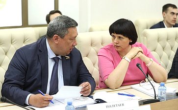 «Круглый стол» Временной комиссии СФ по защите государственного суверенитета и предотвращению вмешательства во внутренние дела РФ