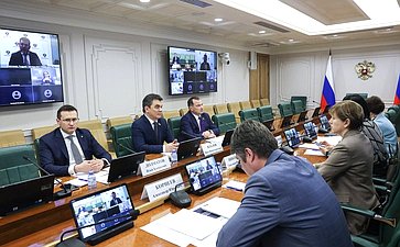 Круглый стол Комитета СФ по экономической политике на тему «Актуальные вопросы развития российской электроэнергетики»