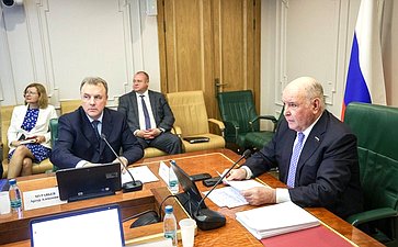 Заседание Комитета Совета Федерации по международным делам