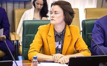 Заседание Комитета СФ по международным делам