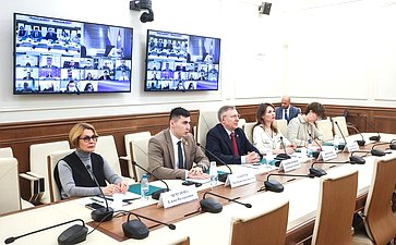 Рабочее заседание Совета Палаты молодых законодателей при Совете Федерации