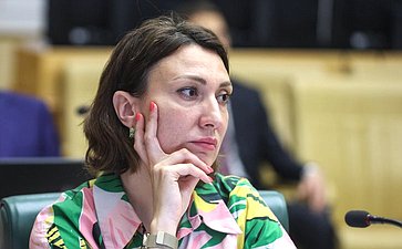 Заседание Комитета Совета Федерации по конституционному законодательству и государственному строительству