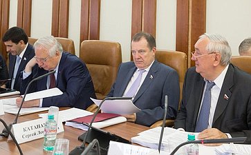 Заседание Комитета Совета Федерации по федеративному устройству, региональной политике, местному самоуправлению и делам Севера