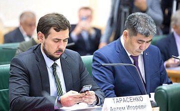Заседание Совета по вопросам развития Дальнего Востока и Байкальского региона при СФ